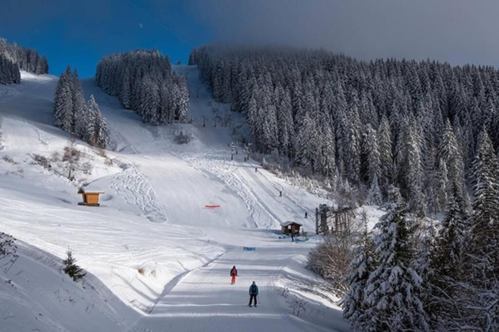 Le Relai S31 - Grand Et Lumineux Studio Avec Coin Montagne 4-6 Pers, Tout Equipe, Avec Wifi, A 30M Des Pistes Avec Un Grand Balcon, Draps Non Compris Saint-Jean-dʼAulps Dış mekan fotoğraf